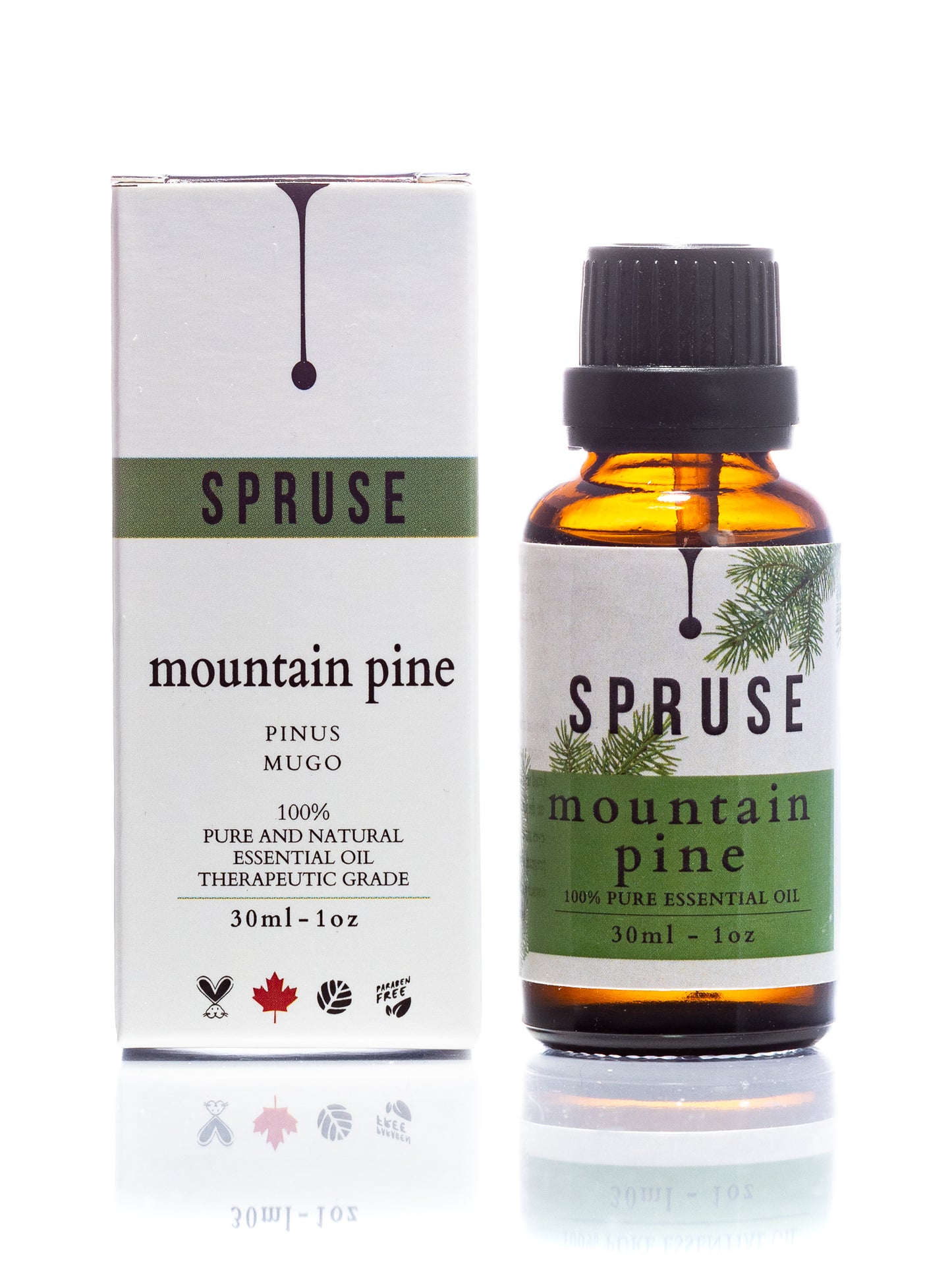 Mountain Pine Essential Oil