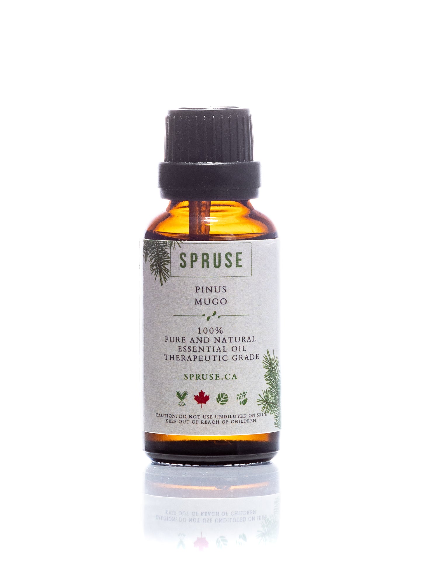 Mountain Pine Essential Oil