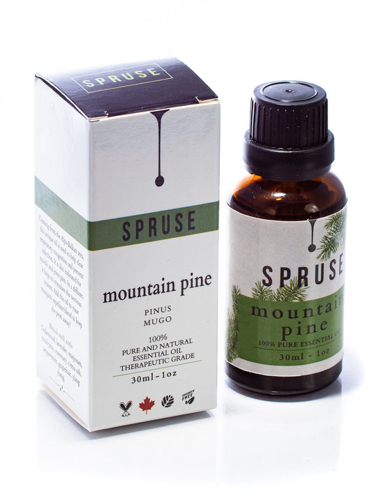 Mountain Pine Essential Oil